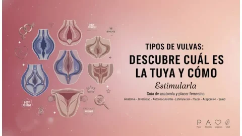 Anatomía de la vulva: diversidad y estimulación